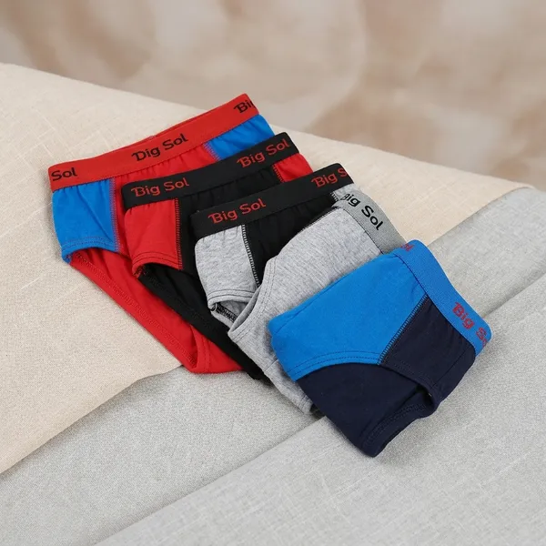 Multicolour_Cotton_Brief_Innerwear_For_Boys_(Pack_Of_5)