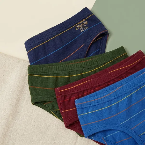Multicolour_Cotton_Brief_Innerwear_For_Boys_(Pack_Of_5)