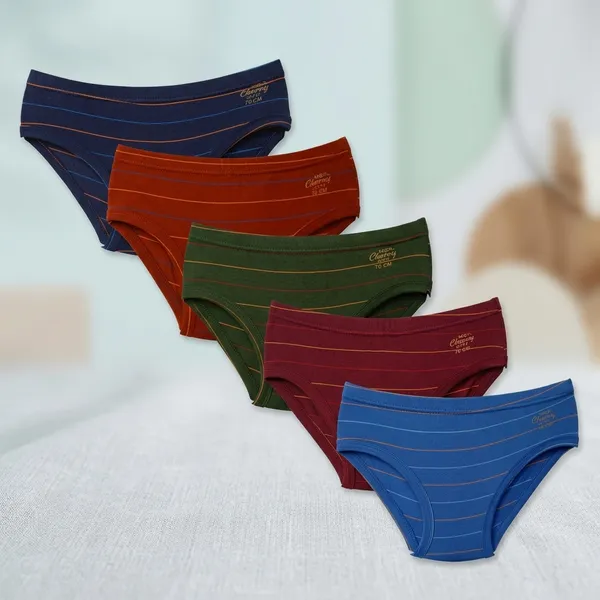 Multicolour_Cotton_Brief_Innerwear_For_Boys_(Pack_Of_5)