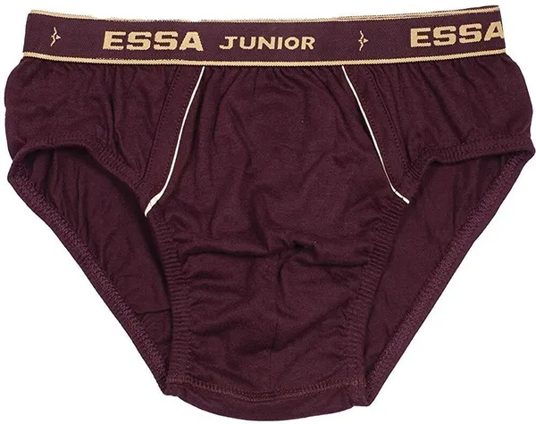 Multicolour_Cotton_Brief_Innerwear_For_Boys_(Pack_Of_5)