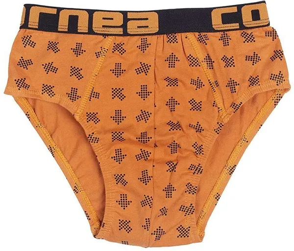 Multicolour_Cotton_Printed_Brief_Innerwear_For_Boys_(Pack_Of_5)