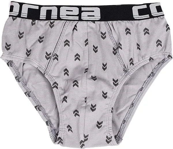 Multicolour_Cotton_Printed_Brief_Innerwear_For_Boys_(Pack_Of_5)