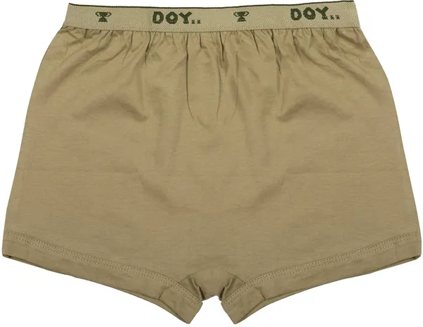 Multicolour_Cotton_Brief_Innerwear_For_Boys_(Pack_Of_10)