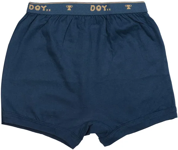 Multicolour_Cotton_Brief_Innerwear_For_Boys_(Pack_Of_10)