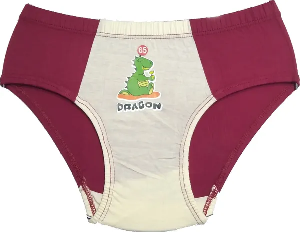 Multicolour_Cotton_Brief_For_Boys_(Pack_Of_5)
