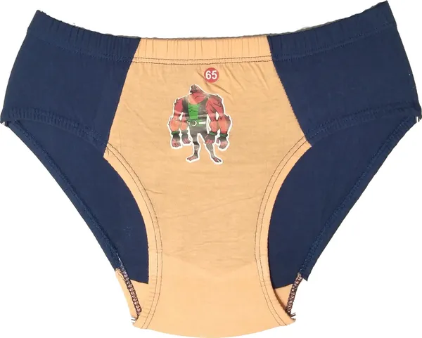 Multicolour_Cotton_Brief_For_Boys_(Pack_Of_5)