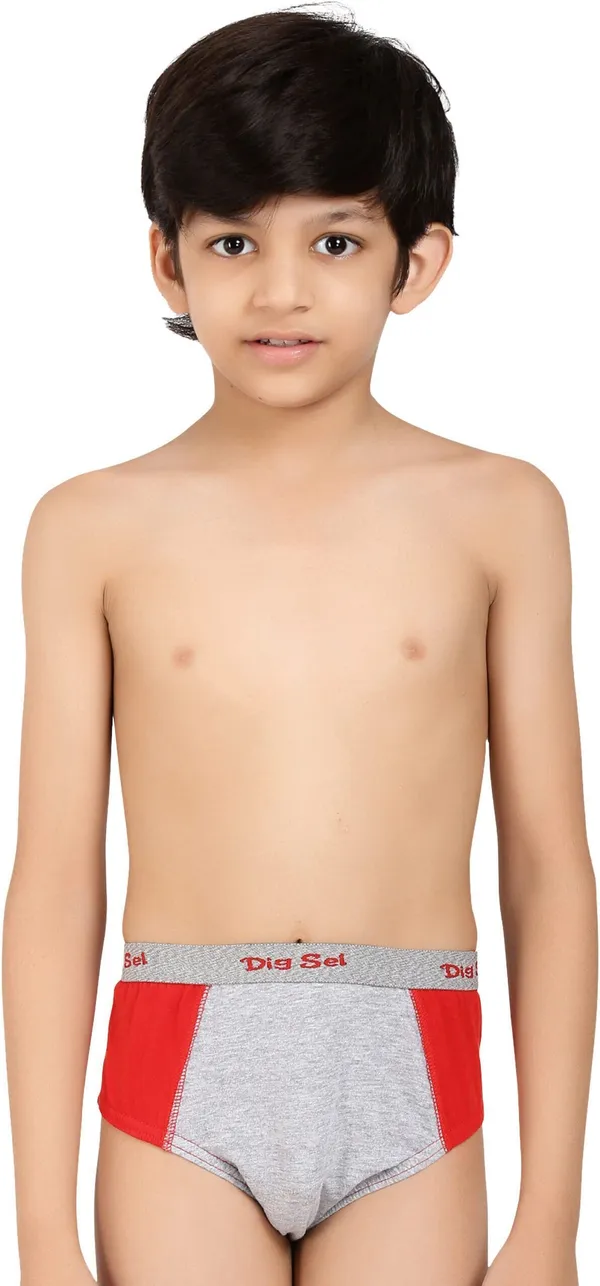 Multicolour_Cotton_Brief_Innerwear_For_Boys_(Pack_Of_3)