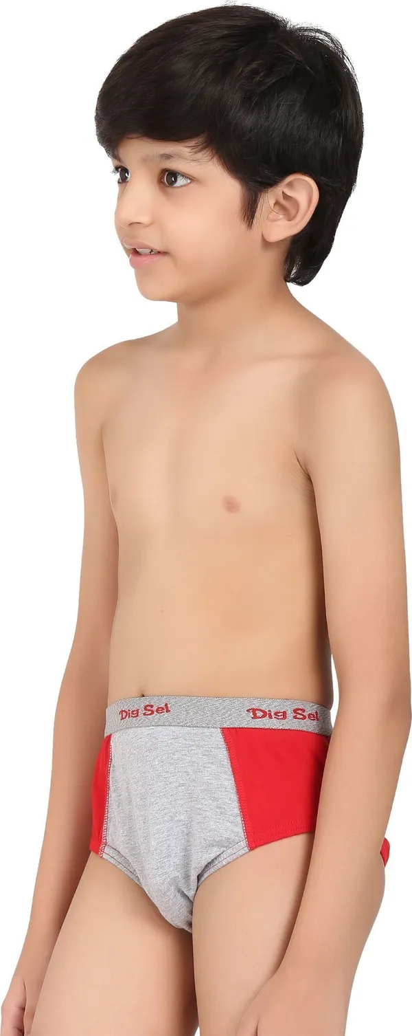Multicolour_Cotton_Brief_Innerwear_For_Boys_(Pack_Of_3)