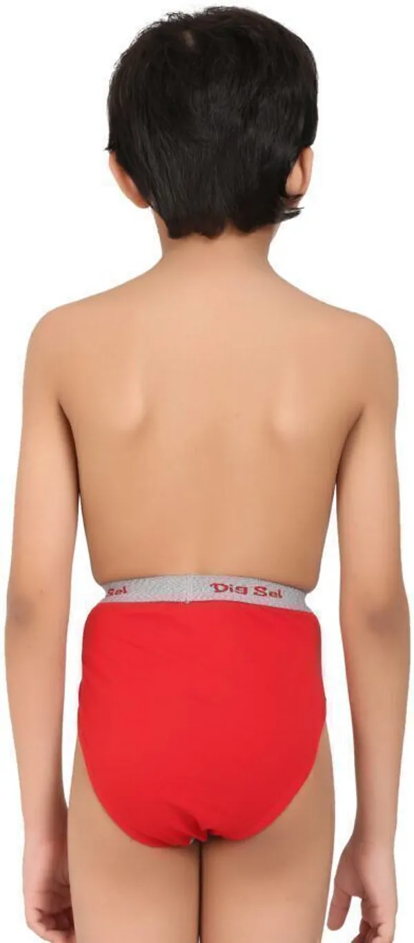Multicolour_Cotton_Brief_Innerwear_For_Boys_(Pack_Of_5)
