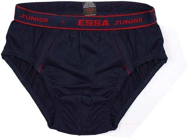 Multicolour_Cotton_Brief_Innerwear_For_Boys_(Pack_Of_5)