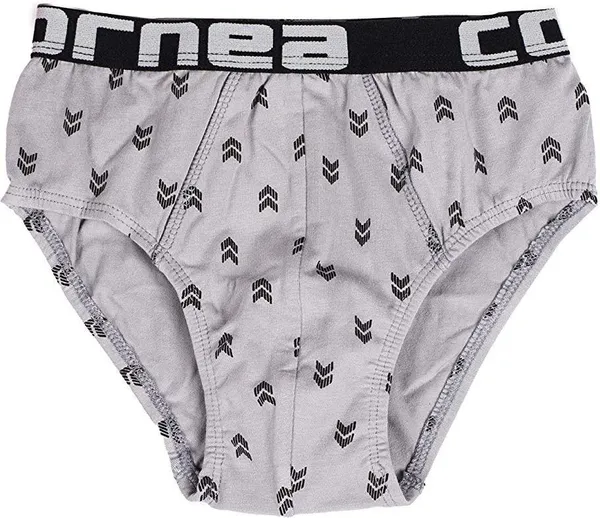 Multicolour_Cotton_Printed_Brief_Innerwear_For_Boys_(Pack_Of_5)