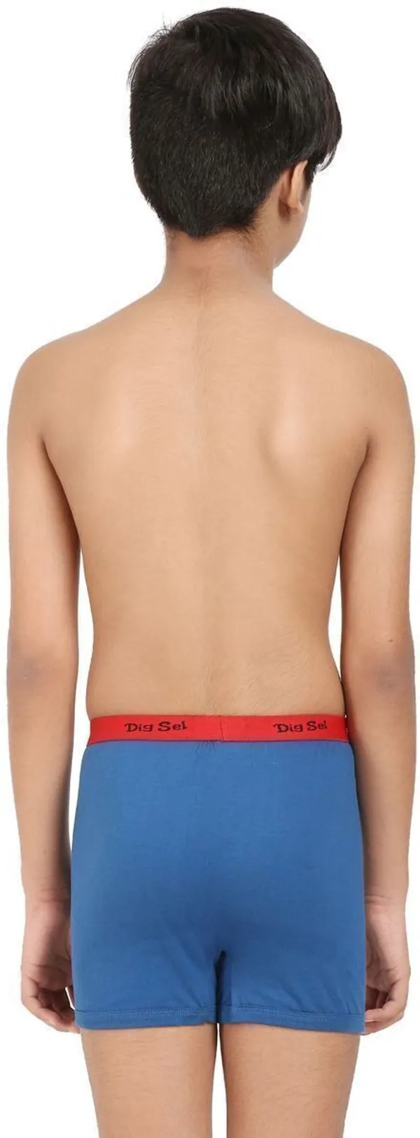 Multicolour_Cotton_Brief_Innerwear_For_Boys_(Pack_Of_5)