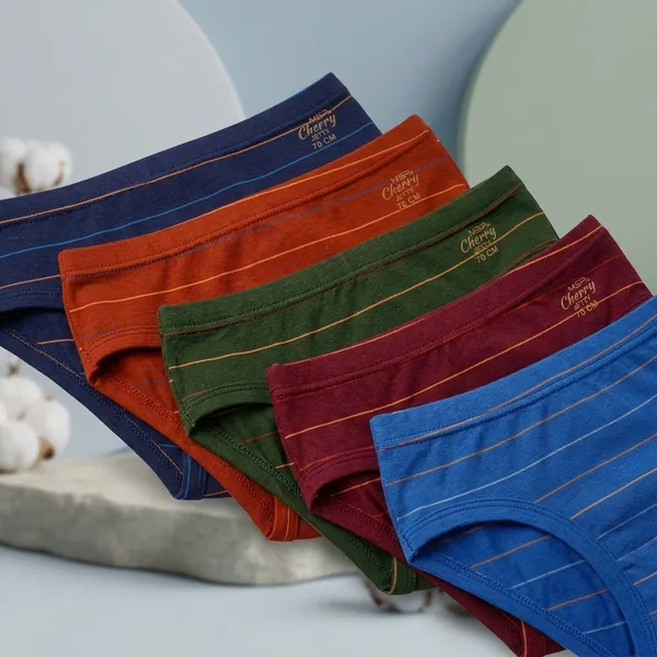Multicolour_Cotton_Brief_For_Boys_(Pack_Of_5)
