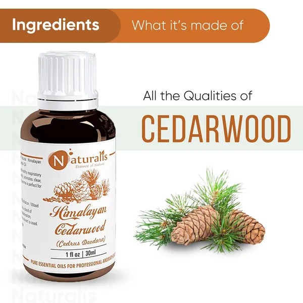 Naturalis_Rosemary_&_Cedarwood_Essential_Oil_Set_|_30ml_Each_|_Pure_&_Natural