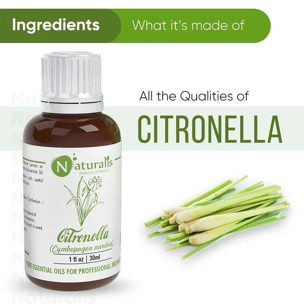 Naturalis_Essential_Oil_Gift_Pack_|_Citronella_30ml_+_Cinnamon_Leaf_30ml_|_Pure_&_Natural