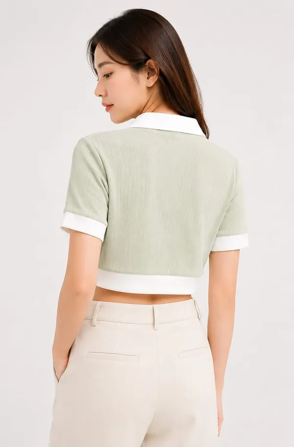 Mint_Green_Cotton_Knit_Polo_Collar_Crop_Top_For_Women