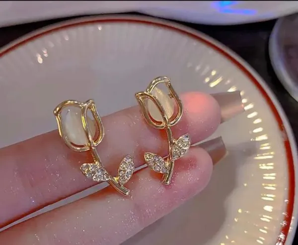 Pack_of_2_Rose_Gold-Plated_Earrings_Combo