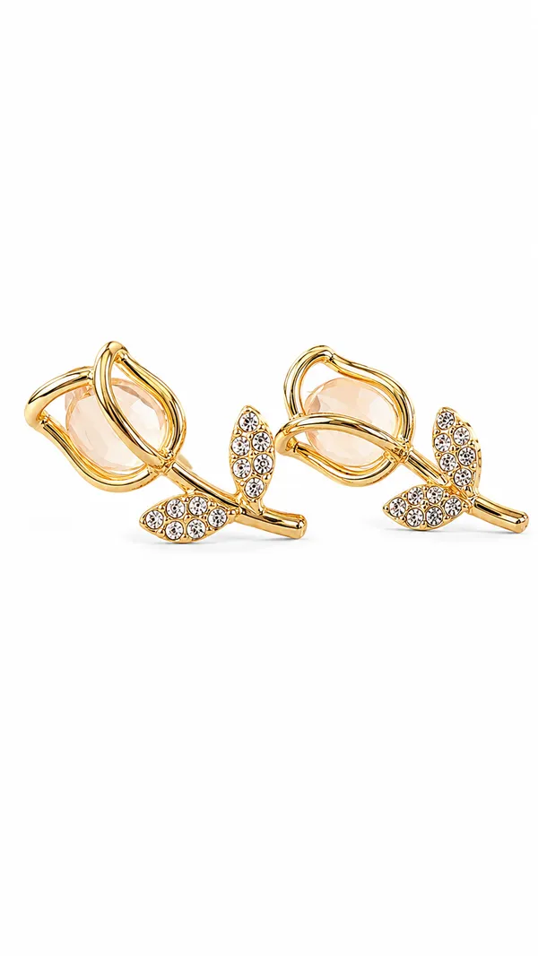 Pack_of_2_Rose_Gold-Plated_Earrings_Combo