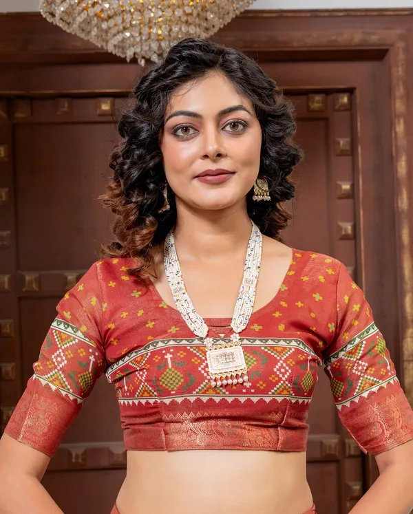 Premium_Patola_Type_Cotton_Silk_Saree