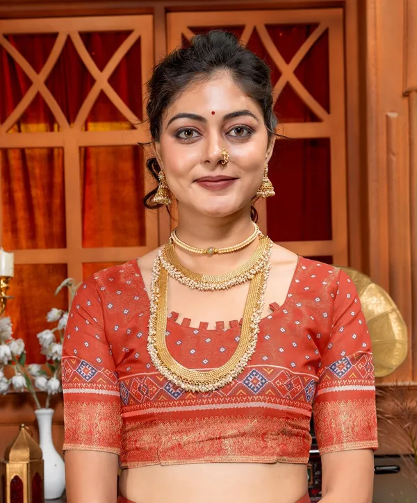 Premium_Patola_Type_Cotton_Silk_Saree
