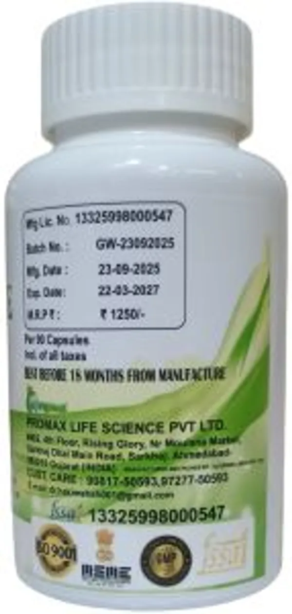 Ayurvedic_Piles_Relief_Capsule