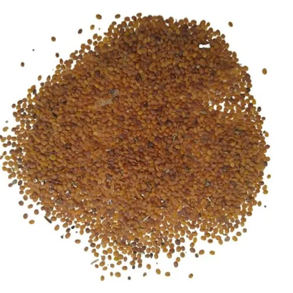 Pack_Of_2_Sweet_Alyssum_Flower_Seeds_(_50_Seeds)