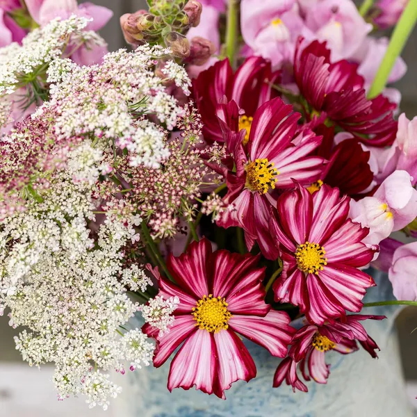 Pack_Of_2_Cosmos_Flower_Seeds_(_10_Seeds)