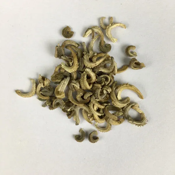 Pack_Of_2_Calendula_Flower_Seeds_(_25_Seeds)