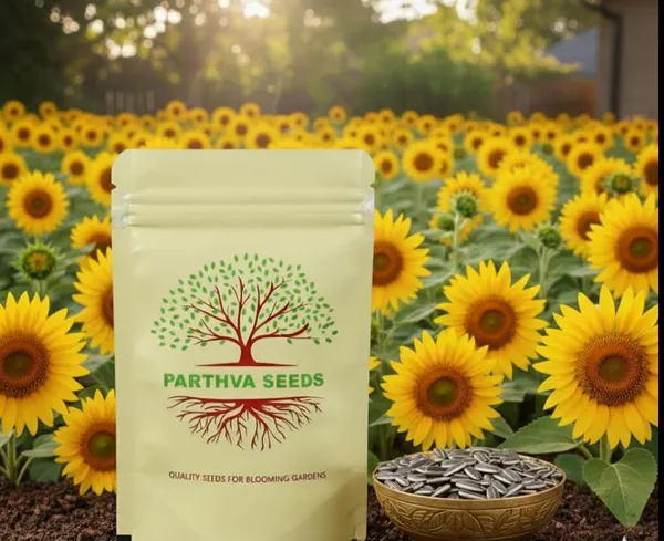 Pack_Of_2_Sunflower_Seeds_(_10_Seeds)