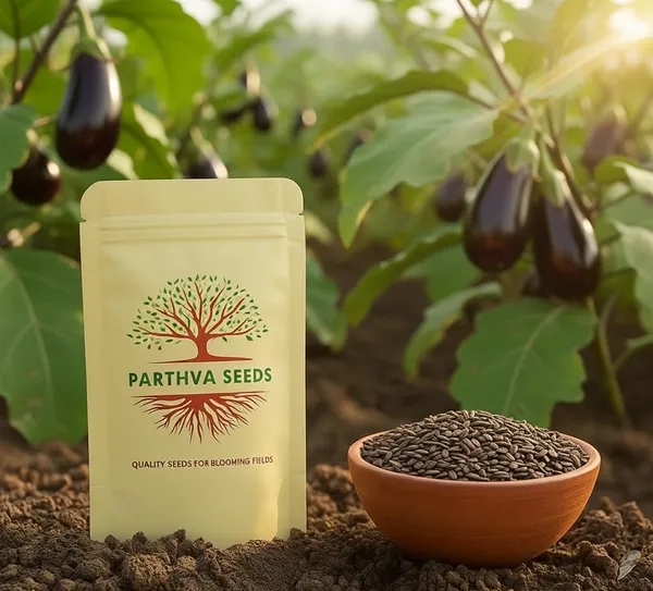 Pack_Of_2_Eggplant_Seeds_(_10_Seeds)