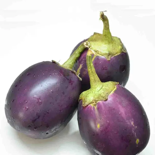 Pack_Of_2_Eggplant_Seeds_(_10_Seeds)