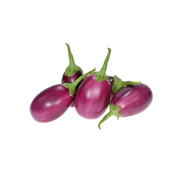 Pack_Of_2_Eggplant_Seeds_(_10_Seeds)