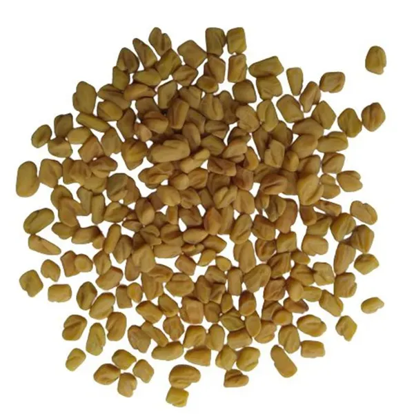 Pack_Of_2_Fenugreek_Seeds_For_Planting_And_Cooking_(_280_Seeds)