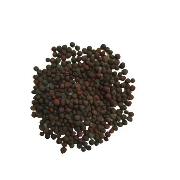 Pack_Of_2_Kohlrabi_Seeds_(_90_Seeds)