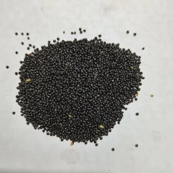 Pack_Of_2_Amaranth_Seeds_(_200_Seeds)
