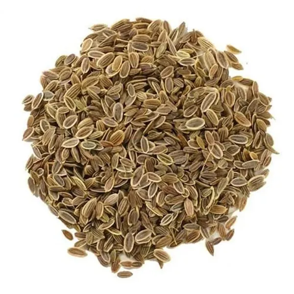 Pack_Of_2_Dill_Herb_Seeds_(_200_Seeds)