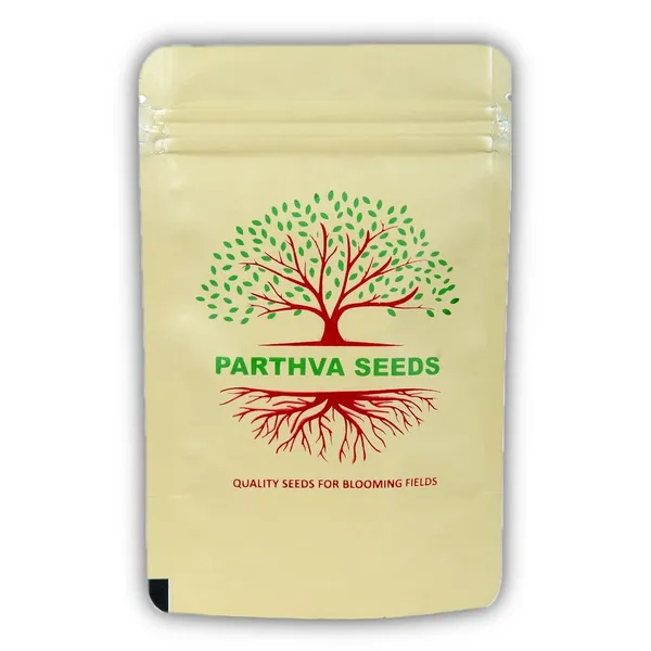 Pack_Of_2_Zucchini_Seeds_(_5_Seeds)