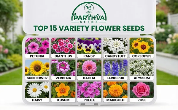 Pack_Of_2_Mixed_Flower_Seeds_Combo_Pack_(_15_Seeds)