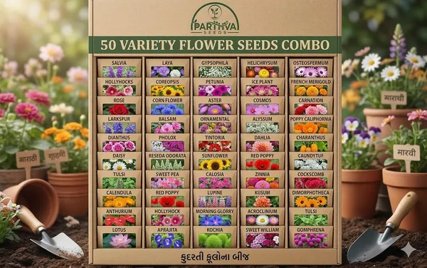 Pack_Of_2_Mixed_Flower_Seeds_(_15_Seeds)
