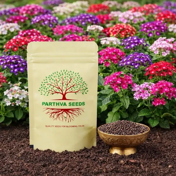 Pack_Of_2_Verbena_Flower_Seeds_(_30_Seeds)