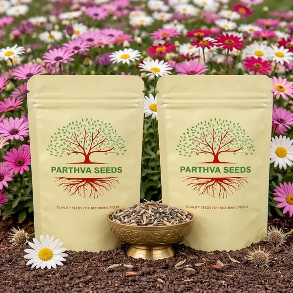 Pack_Of_2_Daisy_Flower_Seeds_(_100_Seeds)