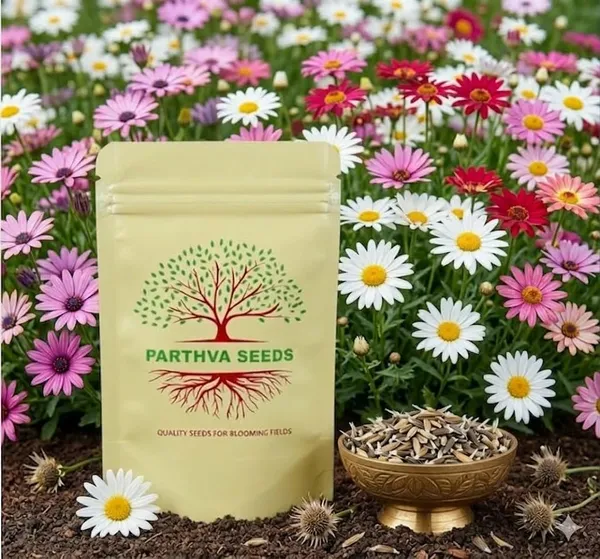 Pack_Of_2_Daisy_Flower_Seeds_(_100_Seeds)