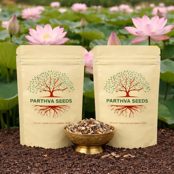 Pack_Of_2_Lotus_Flower_Seeds_(_5_Seeds)