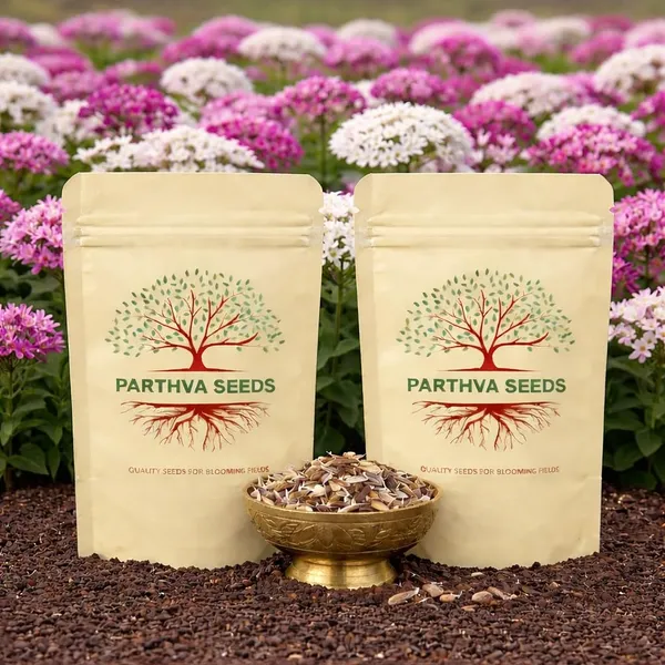Pack_Of_2_Candy_Tuft_Flower_Seeds_(_60_Seeds)