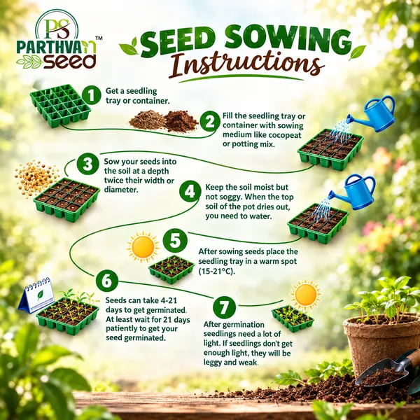 PARTHVA_SEEDS_–_40_Variety_Flower_Seeds_Combo