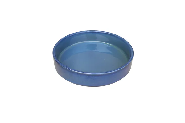 Blue_Ceramics_Premium_Bowl_For_Home_and_Kitchen