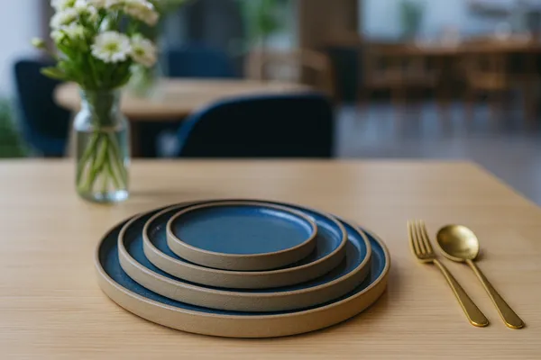 Blue_Ceramics_Luxury_Tableware_Dinner_Set_For_Home_and_Kitchen_(Pack_of_4)
