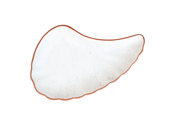 White_Ceramics_Luxury_Decorative_Platter_For_Home_and_Kitchen