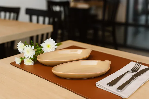 Light_Orange_Ceramics_Premium_Serveware_Serving_Platter_For_Home_and_Kitchen_(Pack_of_2)