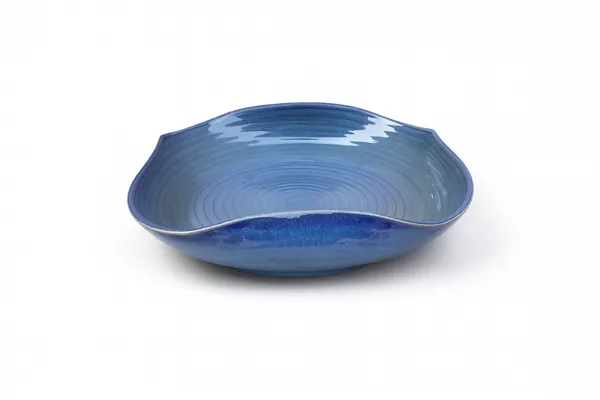 Blue_Ceramics_Premium_Tableware_Plate_For_Home_and_Kitchen